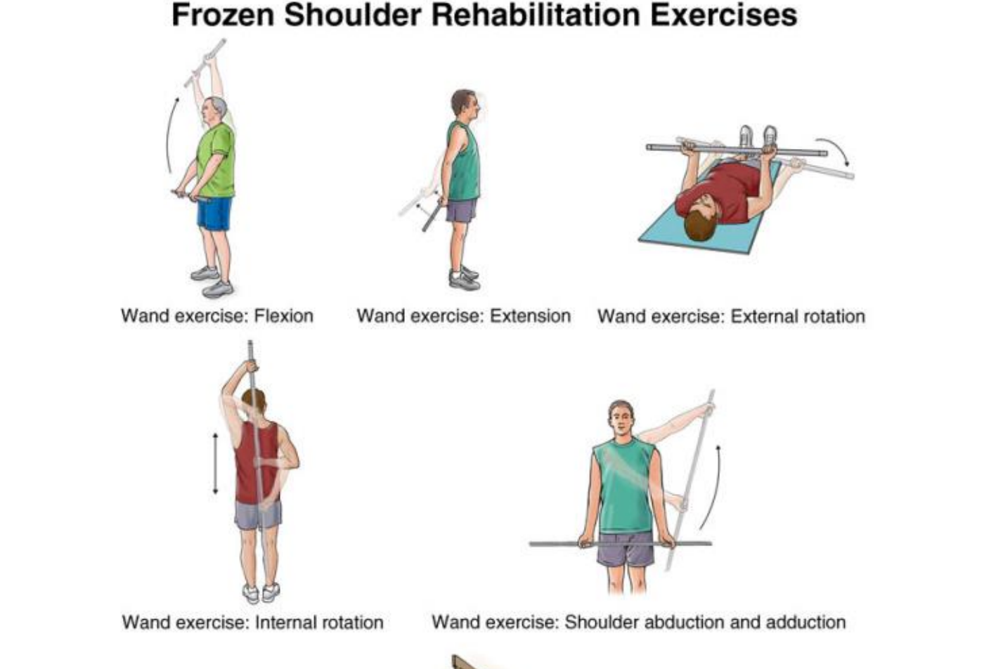 Exercise Image